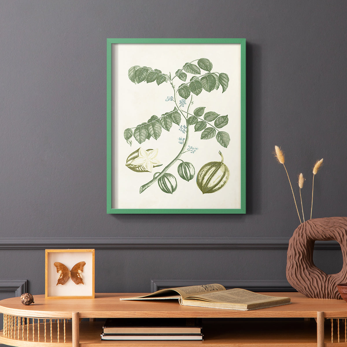 Buchoz Tropicals II - Restickable Framed Art Print