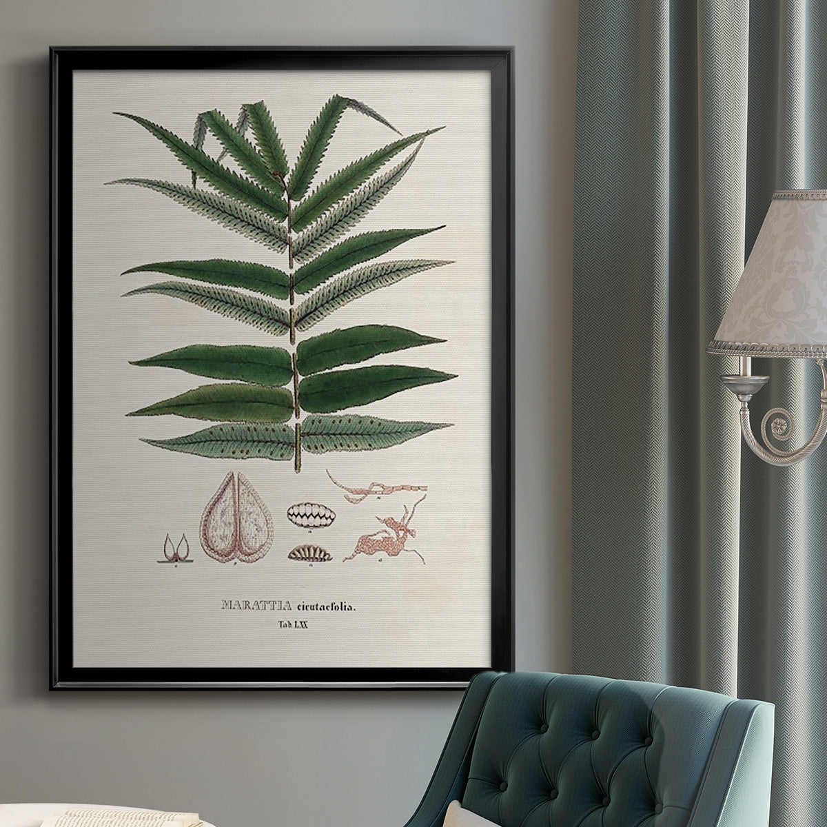 Botanical Society Ferns XII - Modern Framed Canvas Print