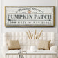 Pumpkin Patch II - Floater Framed Canvas Print