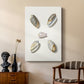Pastel Knorr Shells III - Canvas Art Print