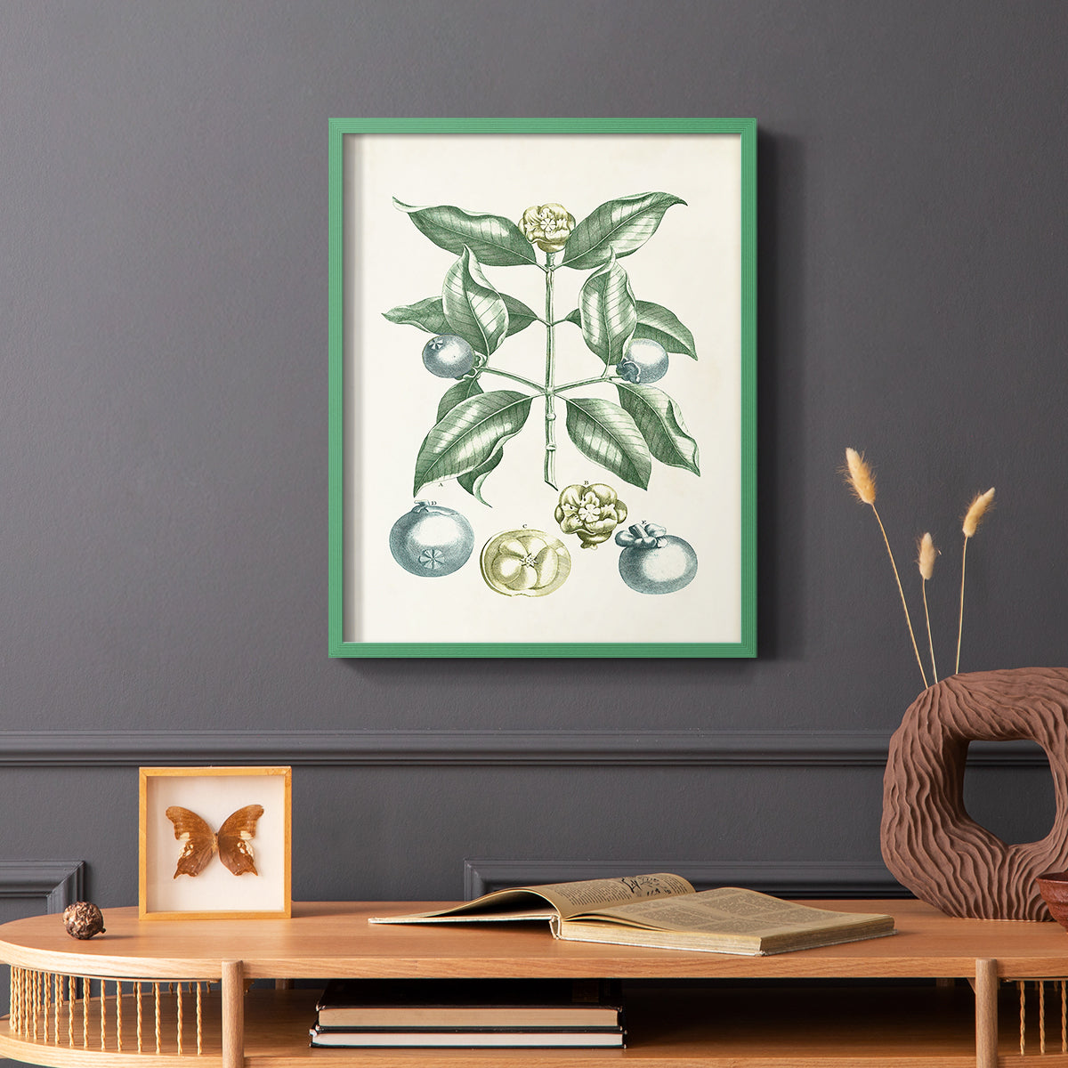 Buchoz Tropicals VII - Restickable Framed Art Print