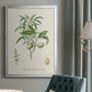 Antique Almond Botanical II - Modern Framed Canvas Print