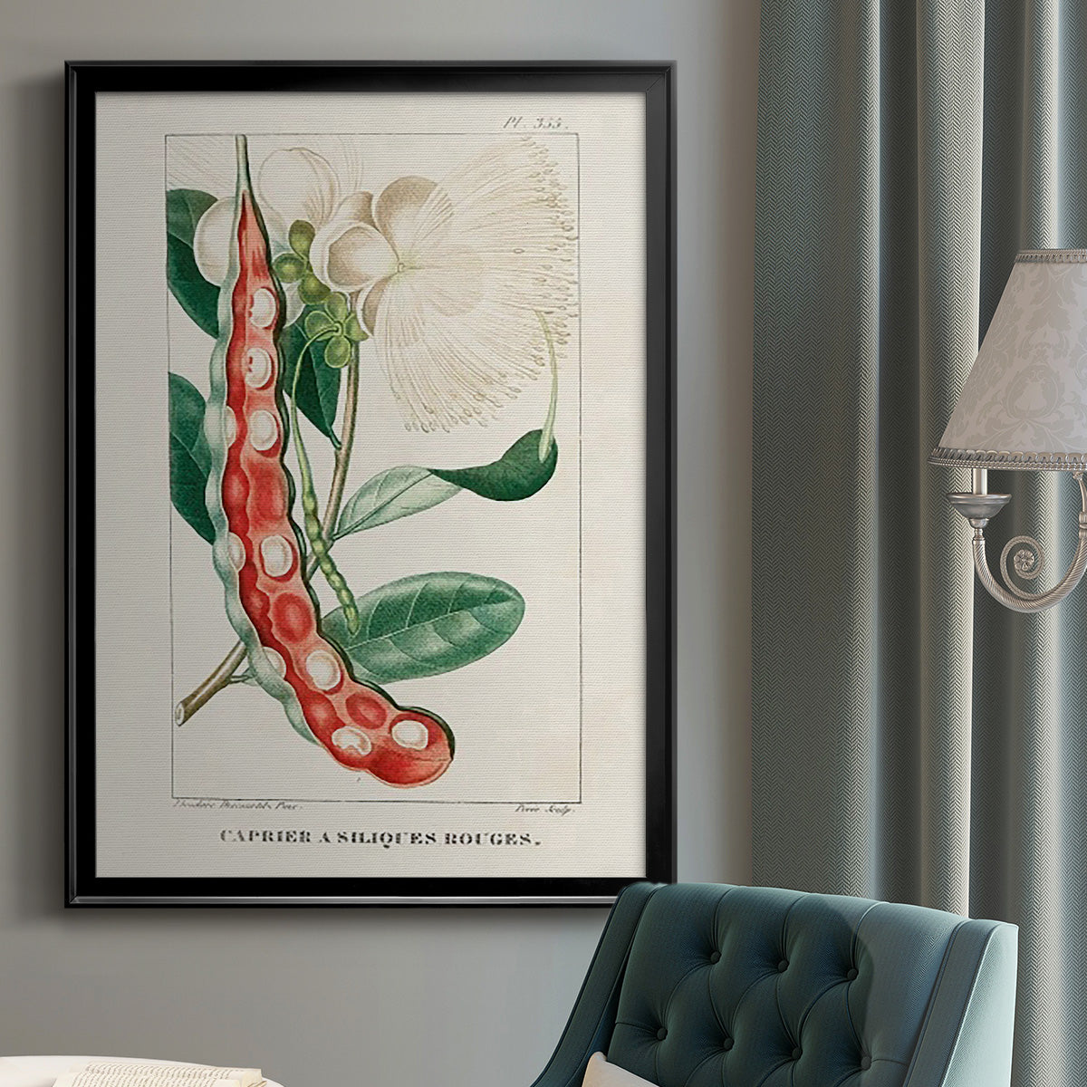 Turpin Tropical Botanicals VIII - Modern Framed Canvas Print