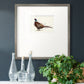 Pheasant Splash 1 Premium Framed Print Double Matboard