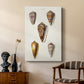 Cone Shell Collection VI - Canvas Art Print