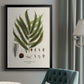 Botanical Society Ferns II - Modern Framed Canvas Print