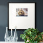 Fridate IV Premium Framed Print Double Matboard