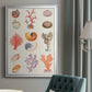 Coral & Shell Collage I -  Framed Canvas Print