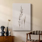 Delicate Stems I - Canvas Art Print