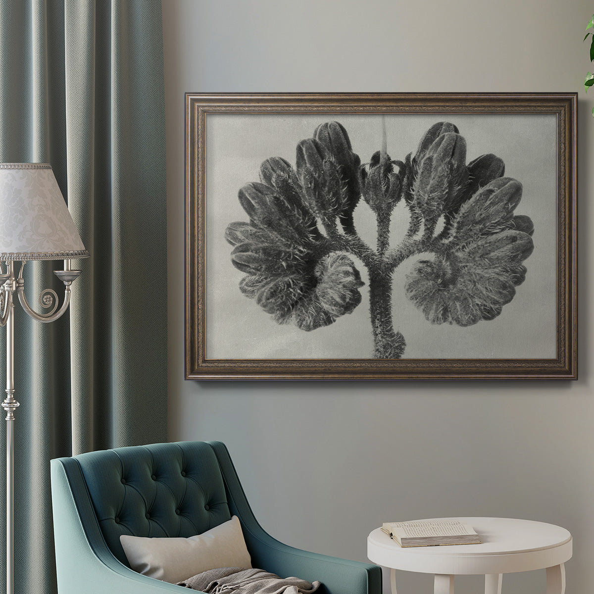 Blossfeldt Botanical VIII Premium Framed Canvas- Ready to Hang