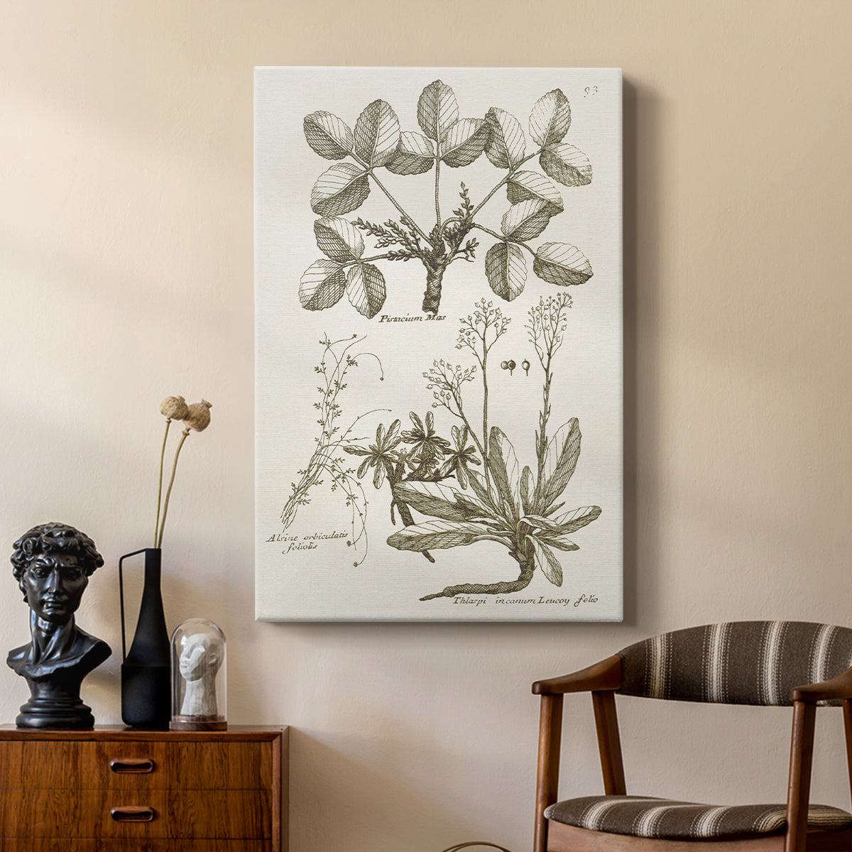 Sepia Botanical Journal VI - Canvas Art Print