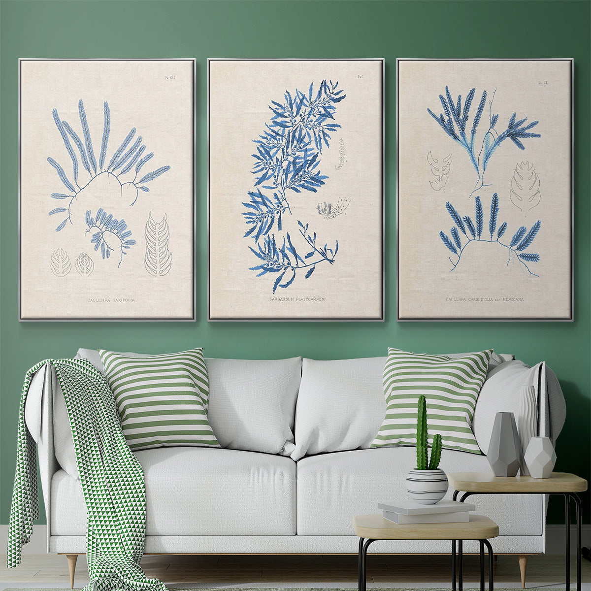 Blue Marine Algae I - Framed Premium Gallery Wrapped Canvas L Frame 3 Piece Set - Ready to Hang