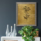 Gold Sketch Botanical II - Barnwood Framed Canvas Print