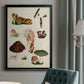 Mushroom Species IX - Modern Framed Canvas Print