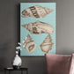 Sepia & Aqua Shells IV - Canvas Art Print