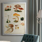 Mushroom Species IV - Modern Framed Canvas Print