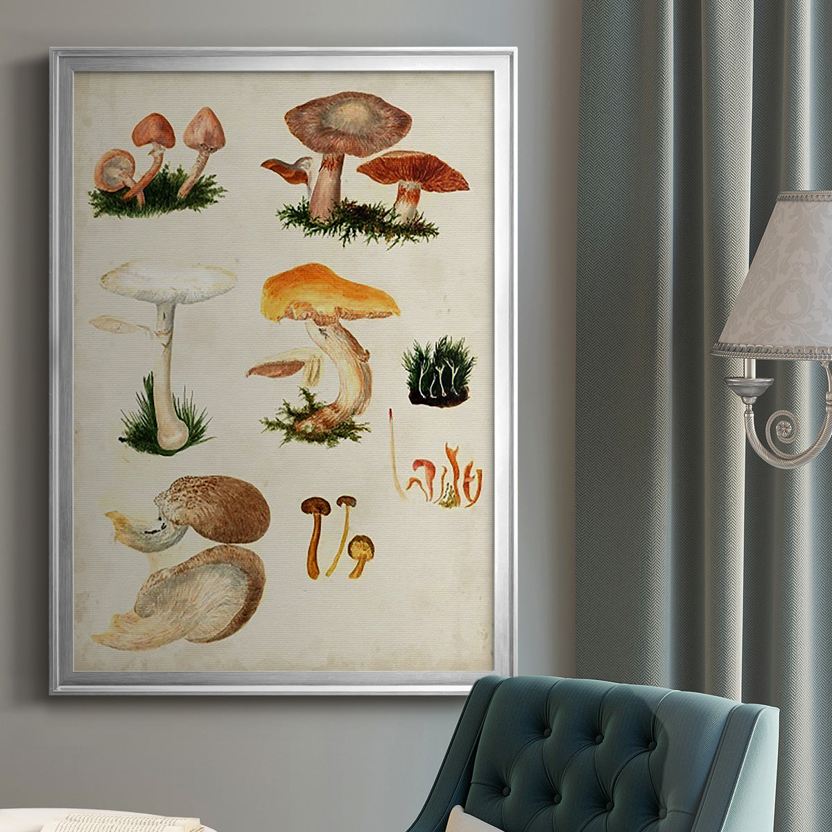 Mushroom Species IV - Modern Framed Canvas Print