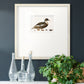 Golden Mallard Premium Framed Print Double Matboard