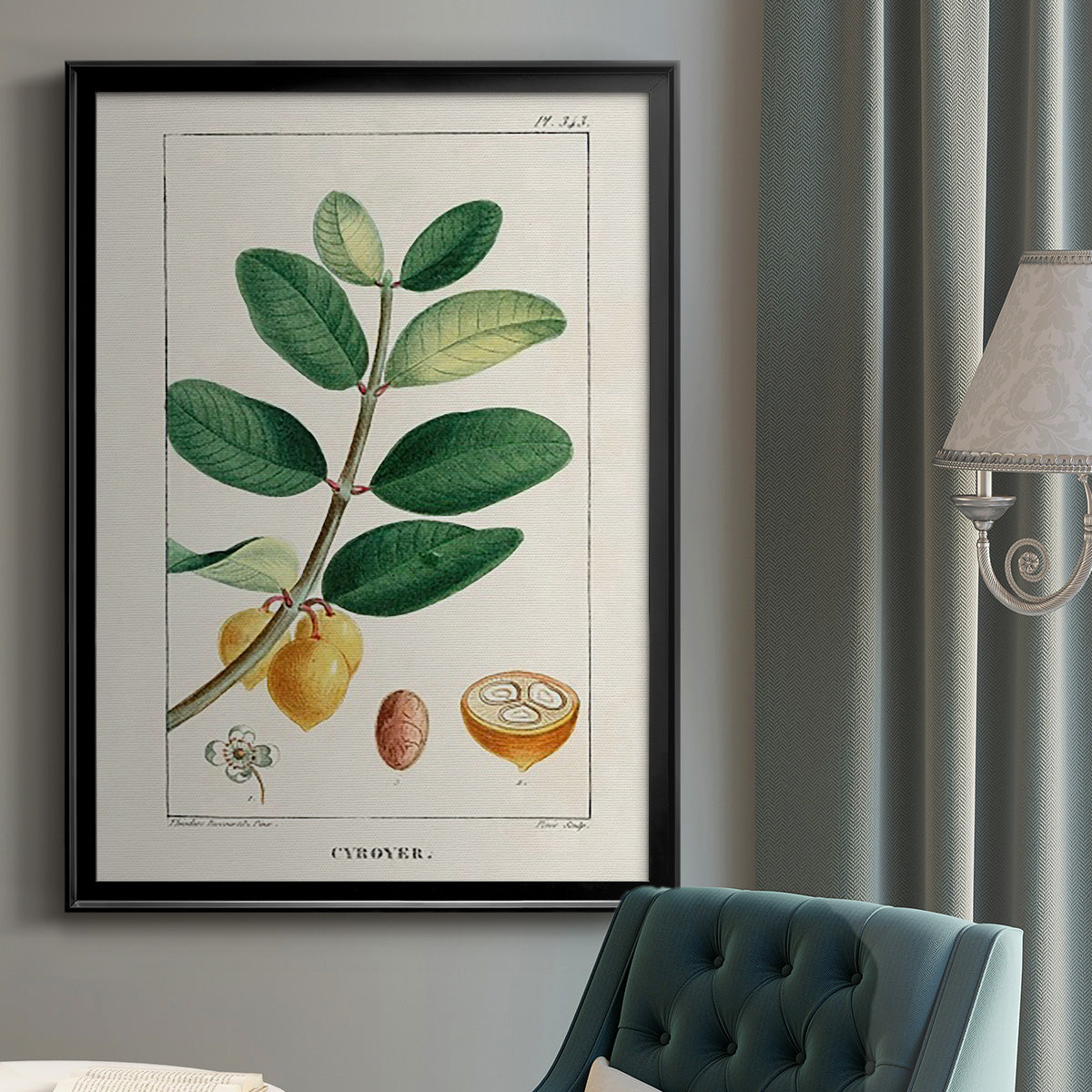 Turpin Tropical Botanicals V - Modern Framed Canvas Print