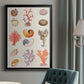Coral & Shell Collage I -  Framed Canvas Print