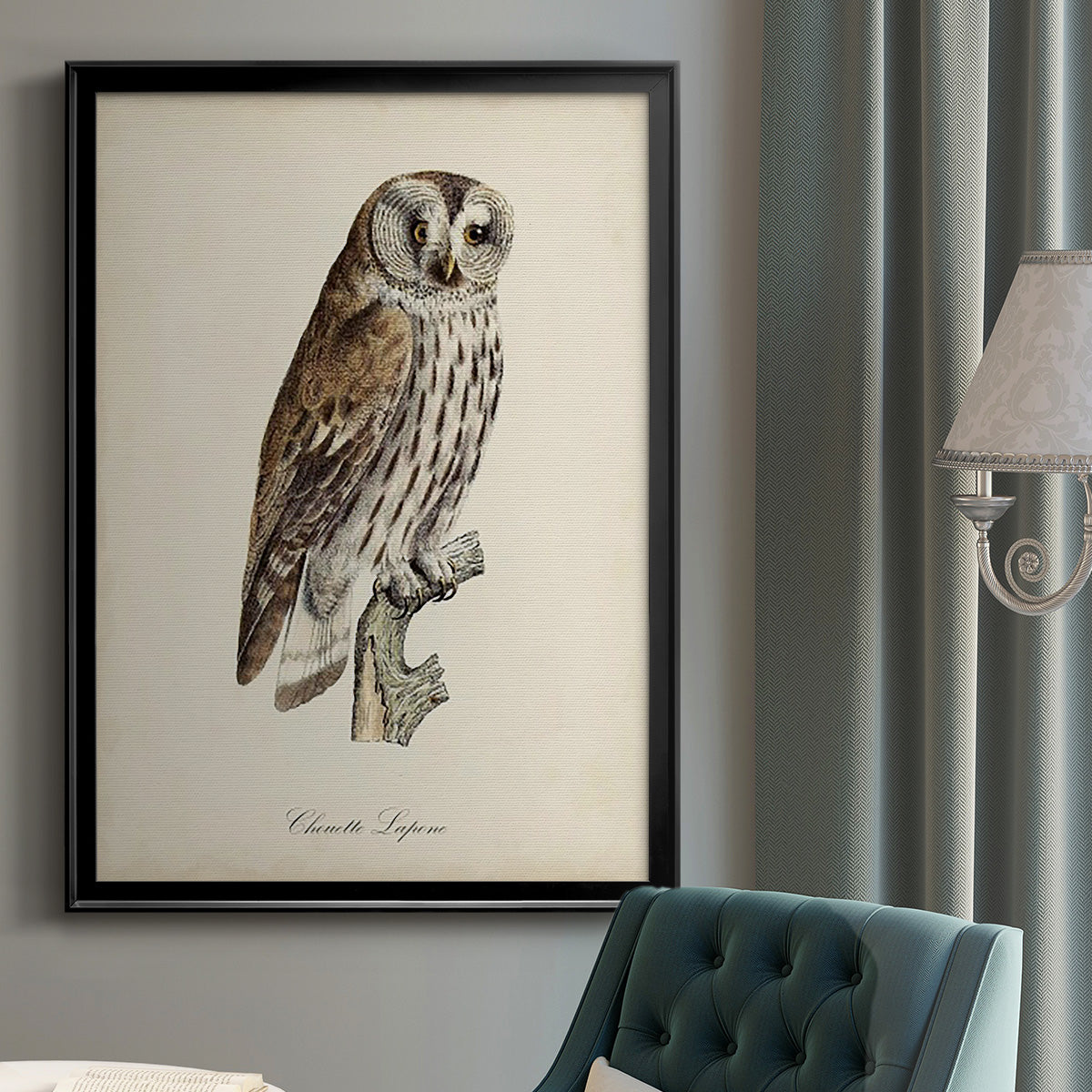 French Owls III - Modern Framed Canvas Print