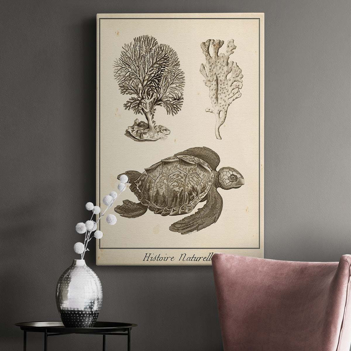 Sea Turtle Study I - Canvas Art Print