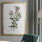 Rose Botanical III - Modern Framed Canvas Print