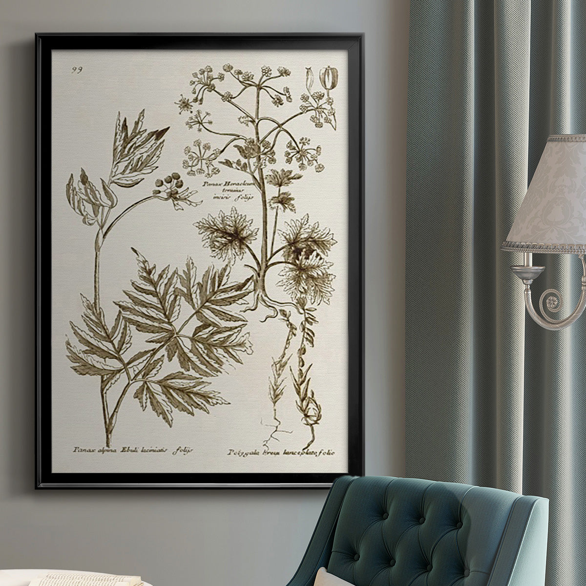 Sepia Botanical Journal III - Modern Framed Canvas Print