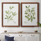 Herb Sage - Premium Framed Canvas 2 Piece Set - Ready to Hang