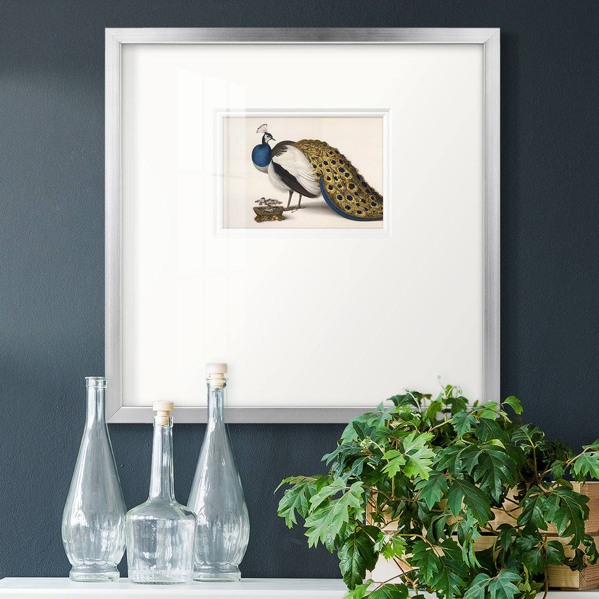 Peackock Plumage Premium Framed Print Double Matboard