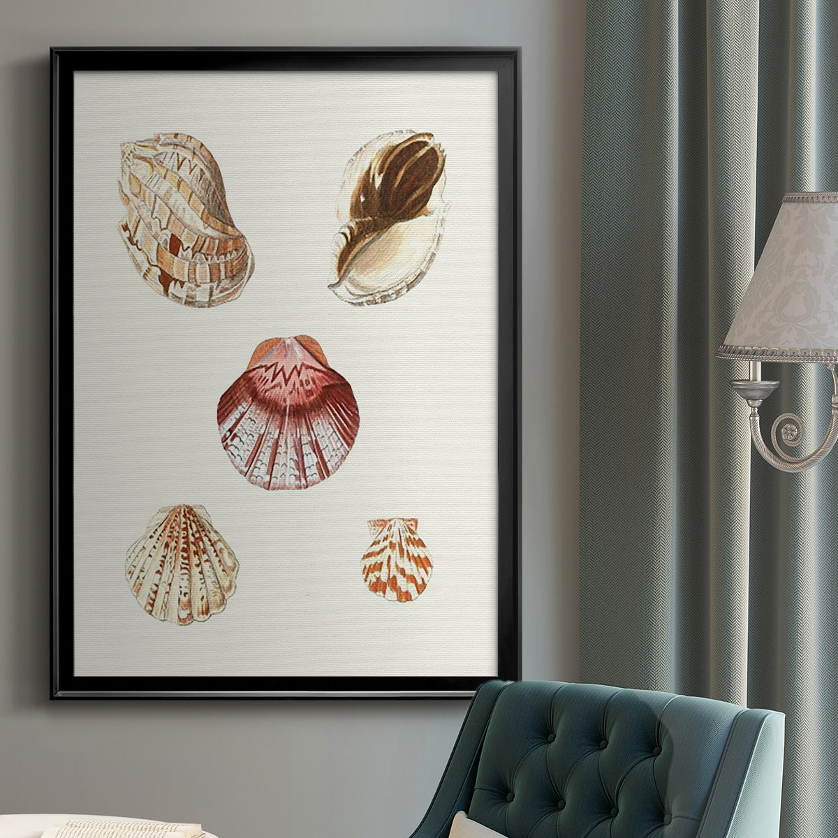 Pastel Knorr Shells V - Modern Framed Canvas Print