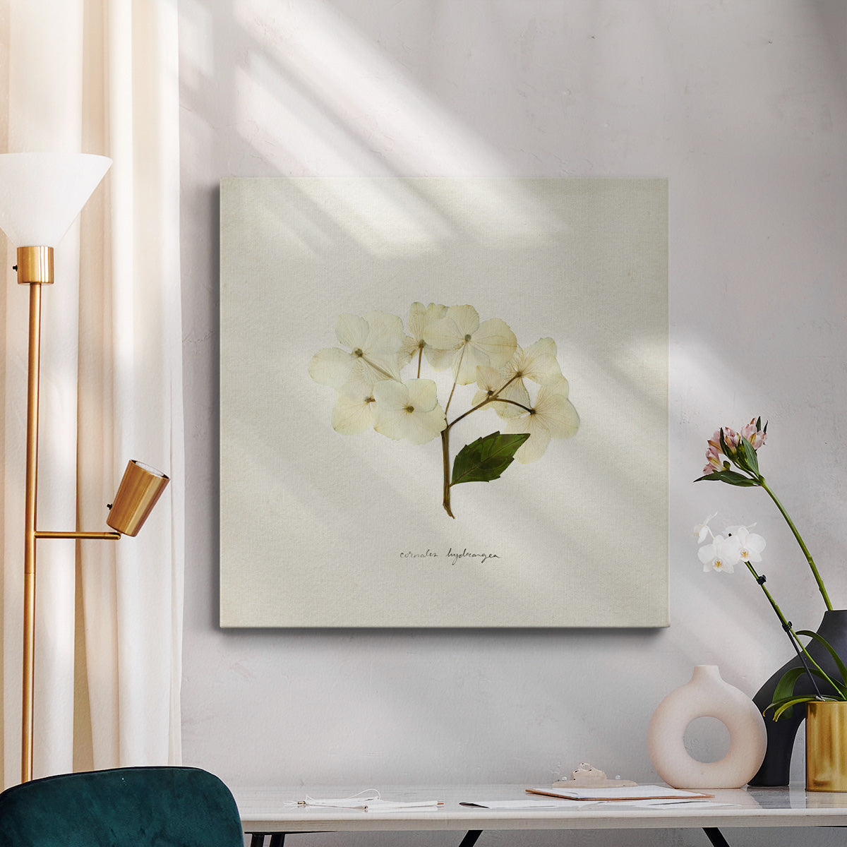 Cornales Hydrangea II - Canvas Art Print