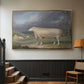 A Border Leicester Ewe, c. 1795-1800 - Floater Framed Canvas Print