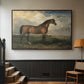 Eagle, A Celebrated Stallion, 1809 - Floater Framed Canvas Print