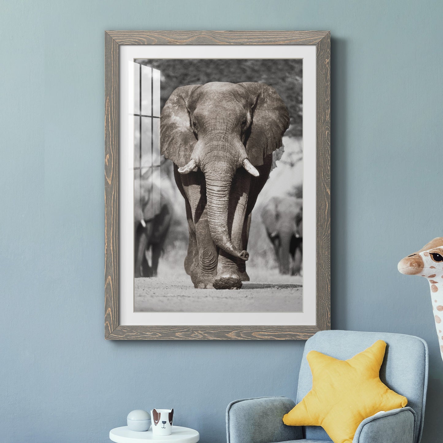 Botswana Patriarch - Premium Framed Print - Distressed Barnwood Frame - Ready to Hang