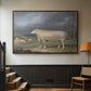 A Border Leicester Ewe, c. 1795-1800 - Floater Framed Canvas Print