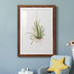 Gardenaire II - Premium Framed Print - Distressed Barnwood Frame - Ready to Hang