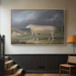 A Border Leicester Ewe, c. 1795-1800 - Floater Framed Canvas Print