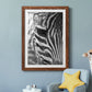 Zebra Colt - Premium Framed Print - Distressed Barnwood Frame - Ready to Hang