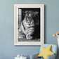 Tiger Repose - Premium Framed Print - Distressed Barnwood Frame - Ready to Hang