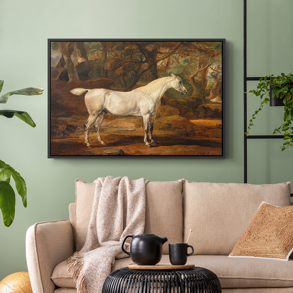 Grey Arabian Stallion, Property of Sir Watkin Williams-Wynn, c. 1817 - Floater Framed Canvas Print