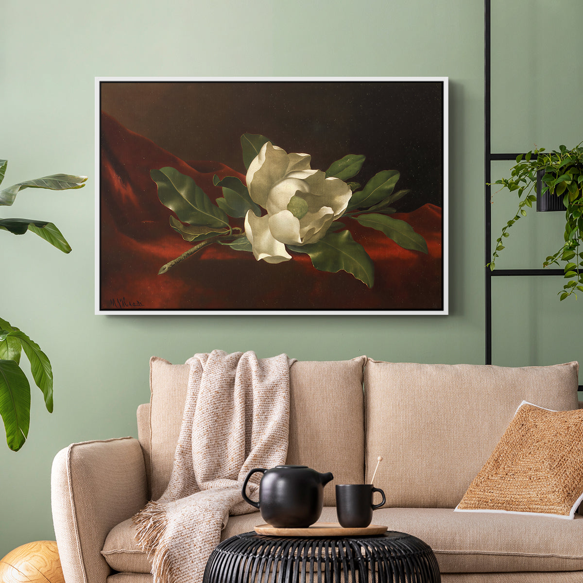 Magnolia on Red Velvet, c. 1885-1890 - Floater Framed Canvas Print