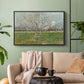 Orchard in Blossom (Plum Trees), 1888 - Floater Framed Canvas Print