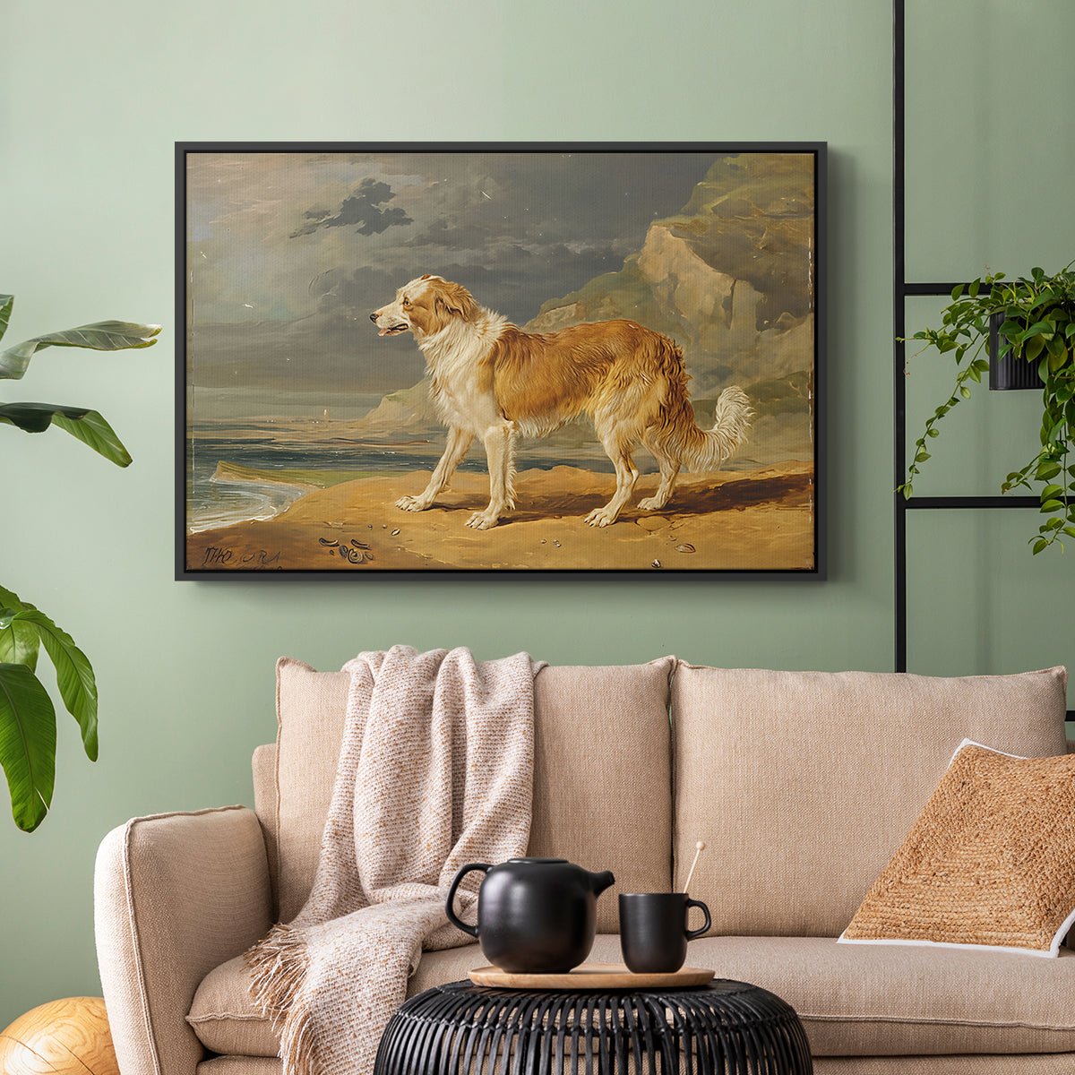 Rough-Coated Collie, 1809 - Floater Framed Canvas Print