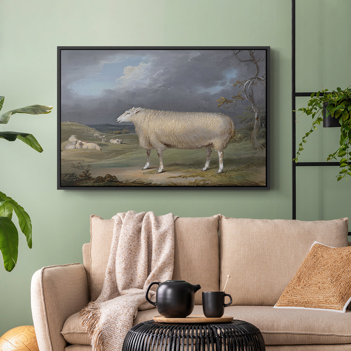 A Border Leicester Ewe, c. 1795-1800 - Floater Framed Canvas Print