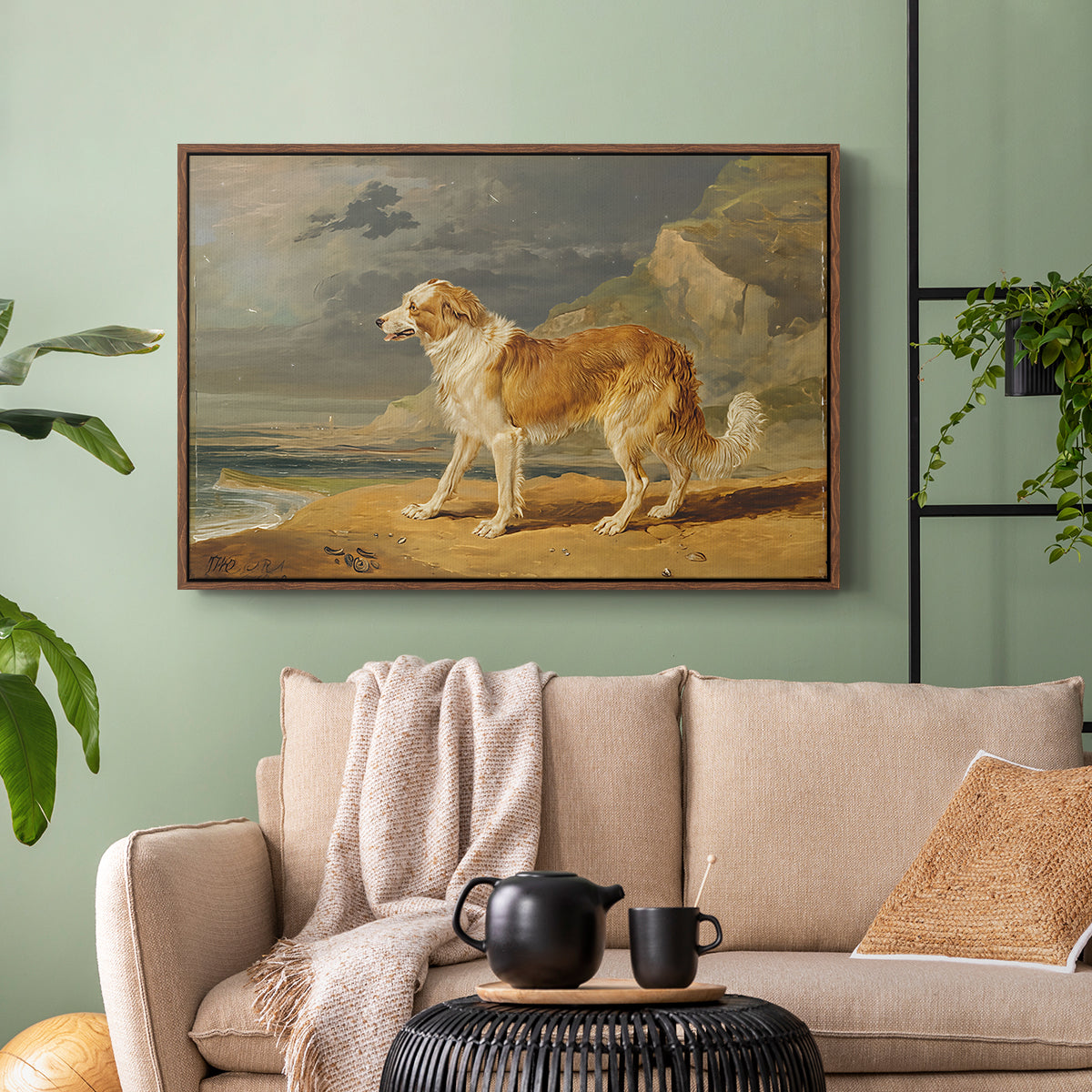 Rough-Coated Collie, 1809 - Floater Framed Canvas Print