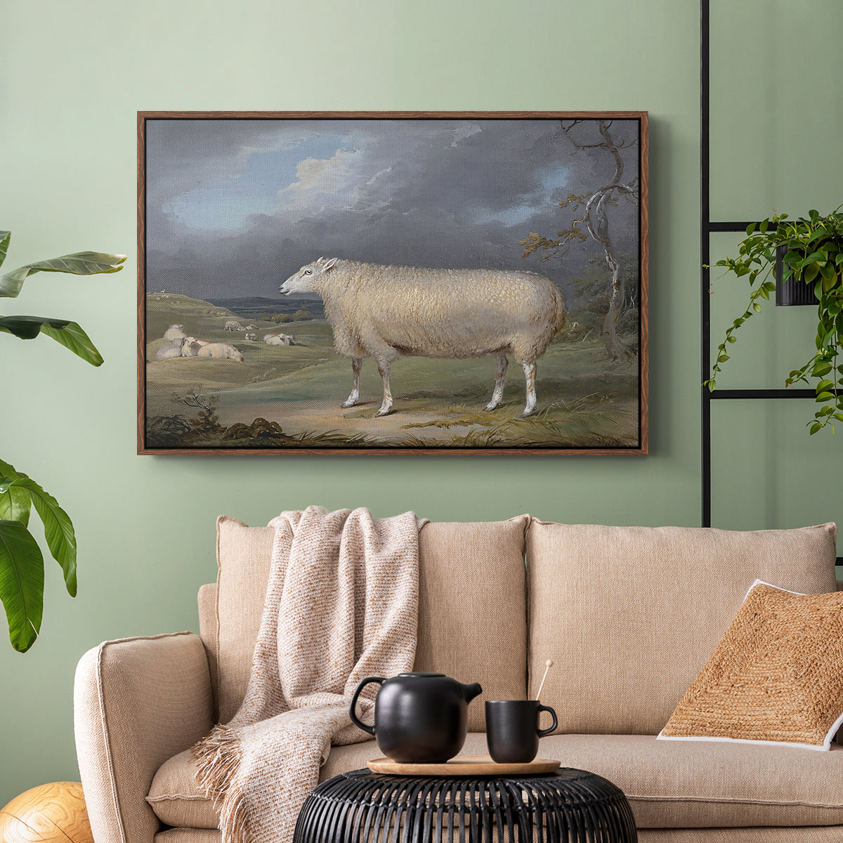 A Border Leicester Ewe, c. 1795-1800 - Floater Framed Canvas Print