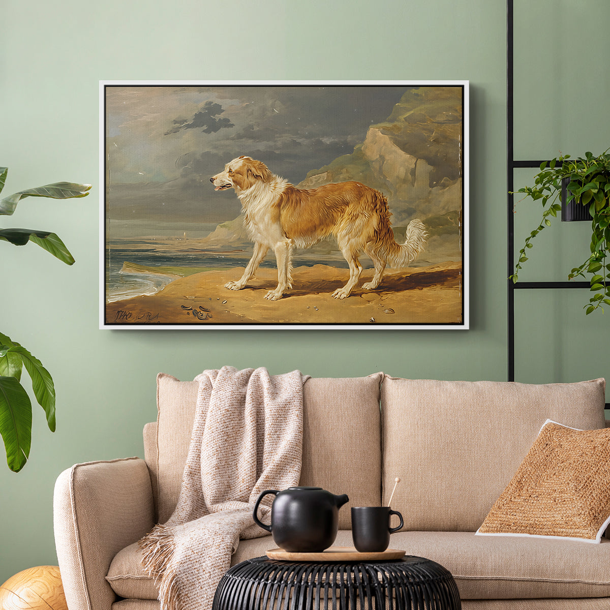 Rough-Coated Collie, 1809 - Floater Framed Canvas Print