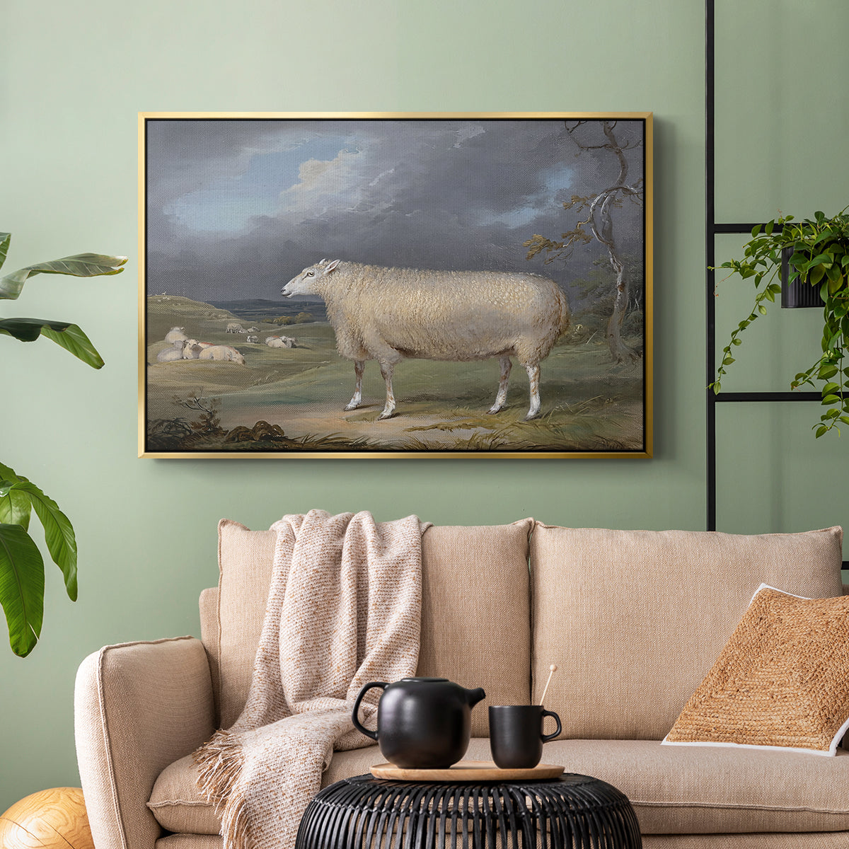 A Border Leicester Ewe, c. 1795-1800 - Floater Framed Canvas Print