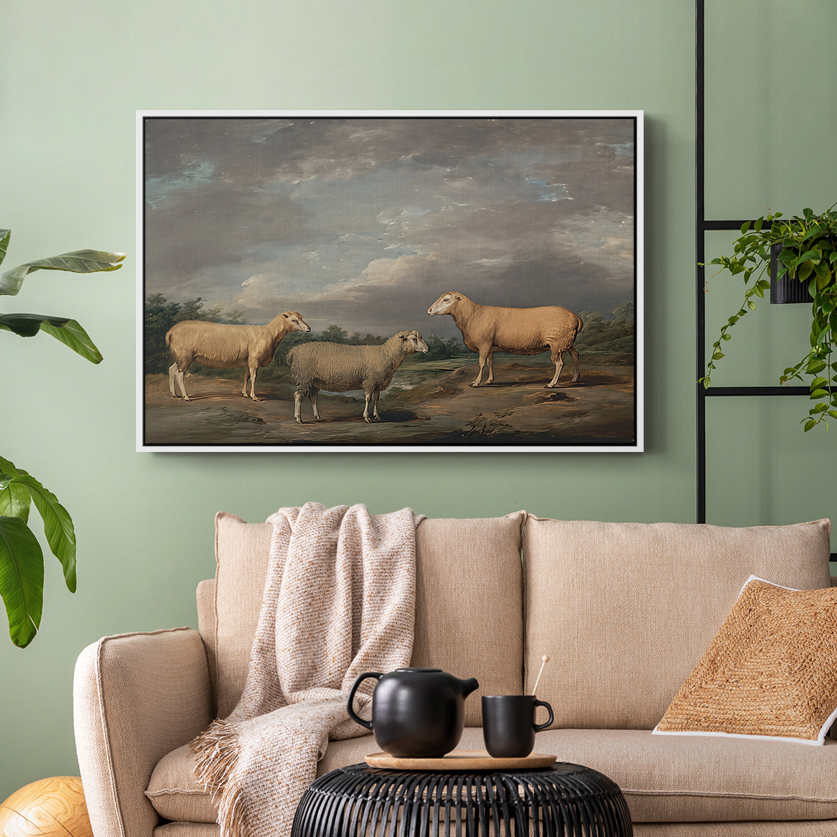 Ryelands Sheep, the King's Ram, the King's Ewe and Lord Somerville's Wether, c. 1801-1807 - Floater Framed Canvas Print